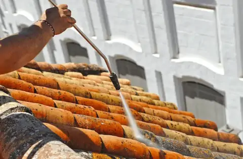 Nettoyage de toitures - Champagne-au-Mont-d'Or